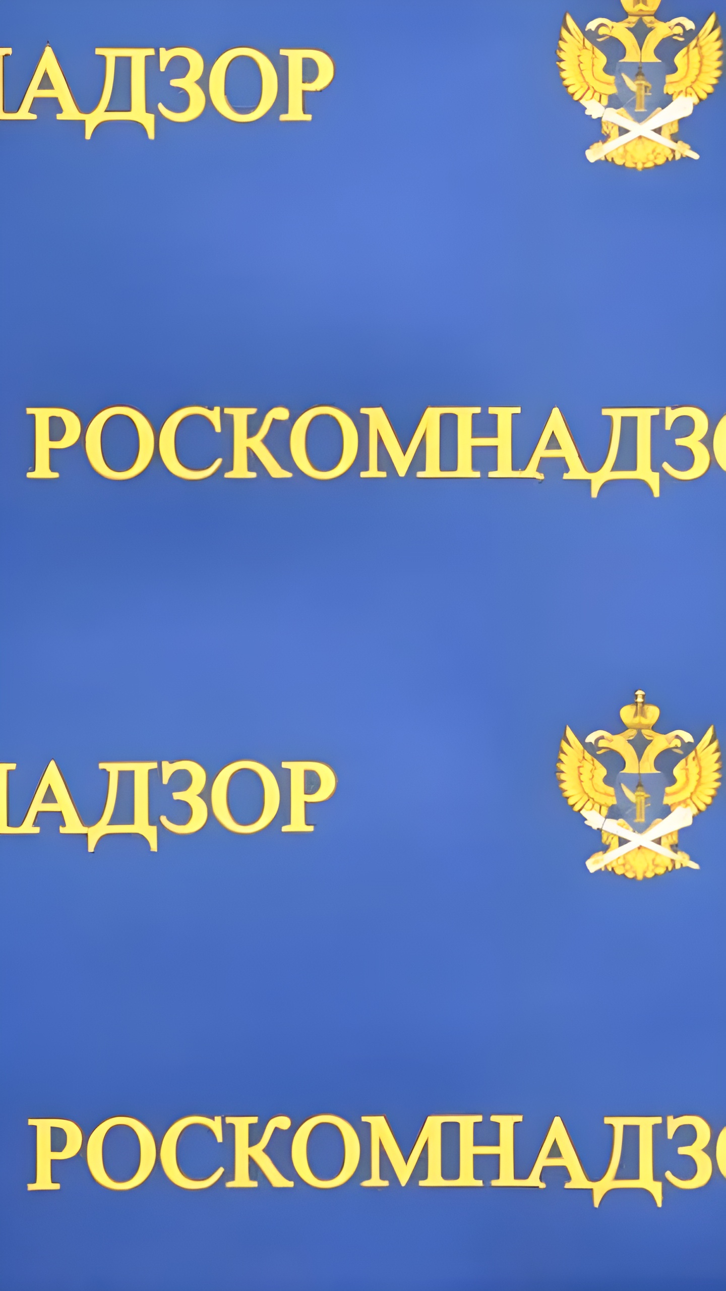 Роскомнадзор заблокировал более 228 тыс. материалов в IV квартале 2024 года