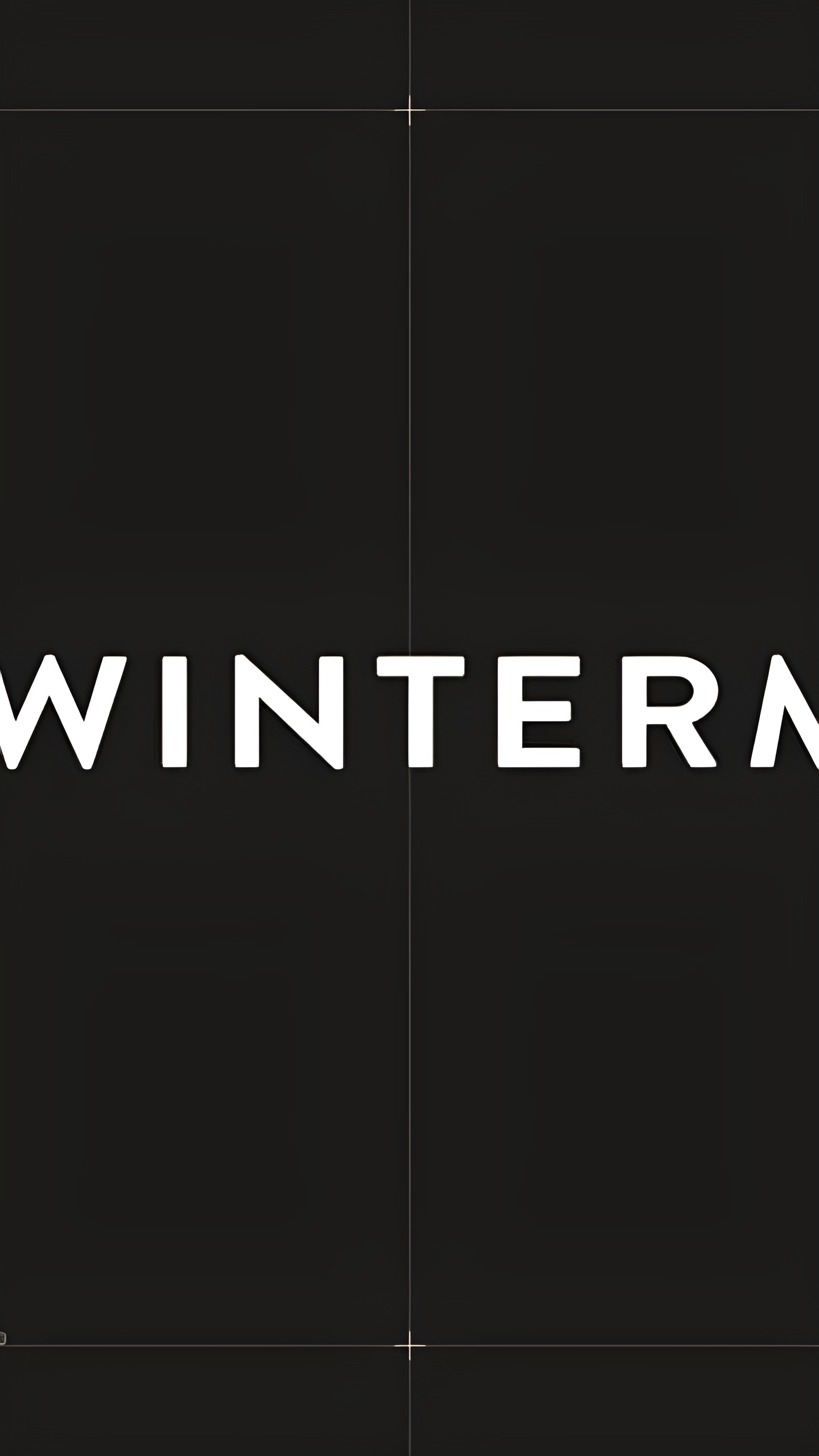 Wintermute сообщает о четырехкратном росте объемов OTC-торговли в 2024 году