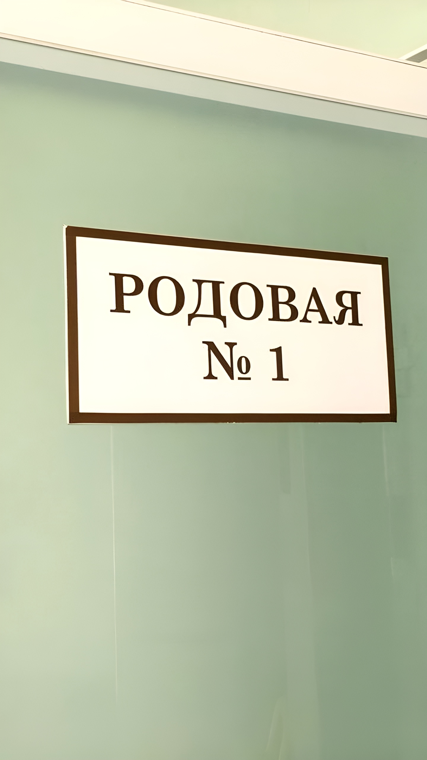 СК России начал проверку по обращению о смерти новорожденной в Норильске