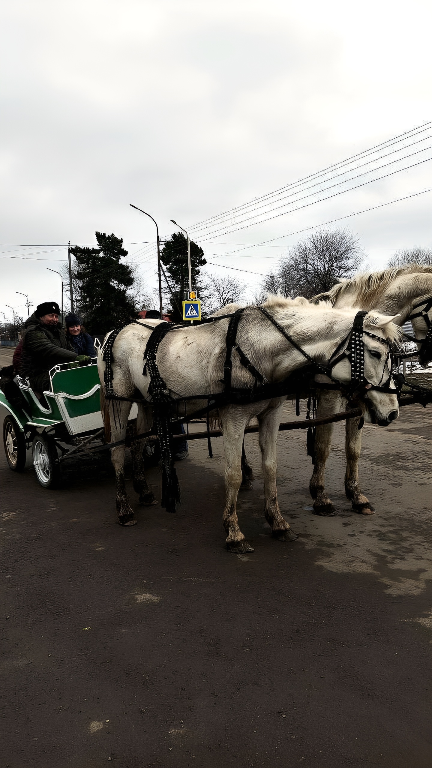 Этноэкспедиция журналистов и блогеров в Ставрополье: казачьи традиции и культура