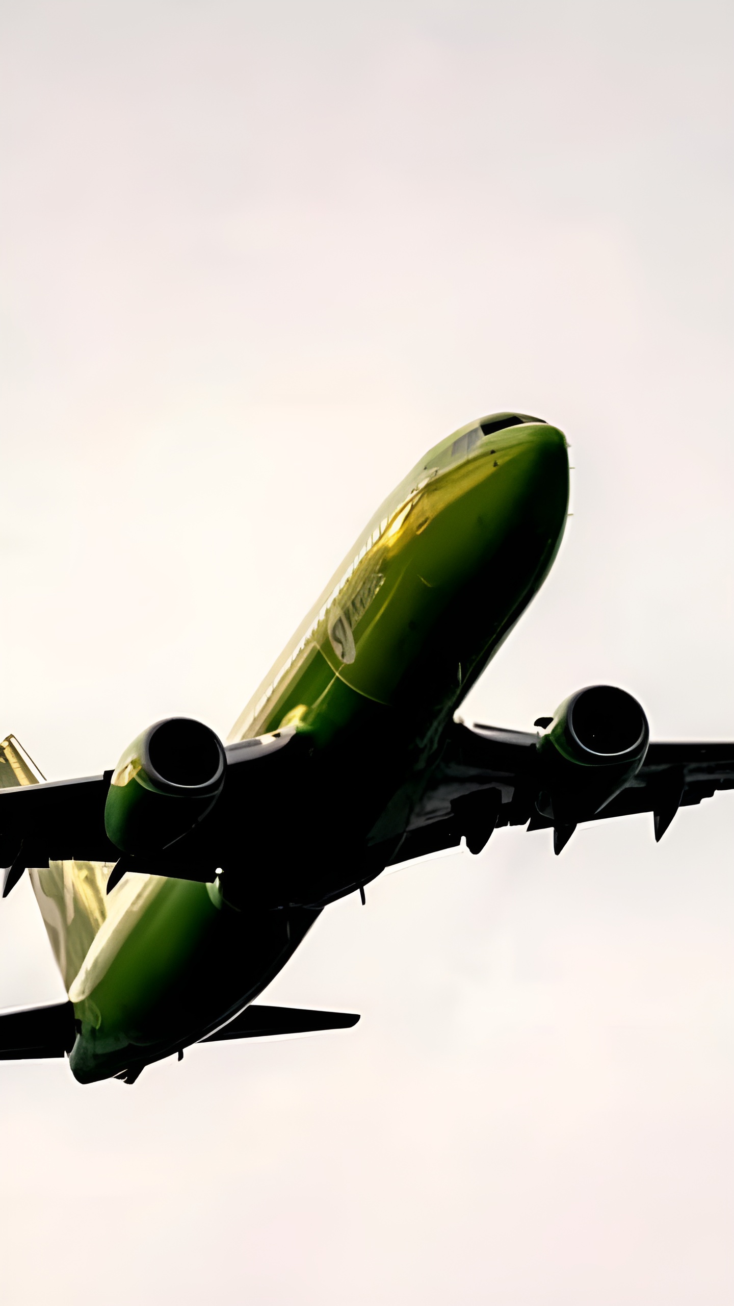 S7 Airlines перевезла 12,9 млн пассажиров в 2024 году