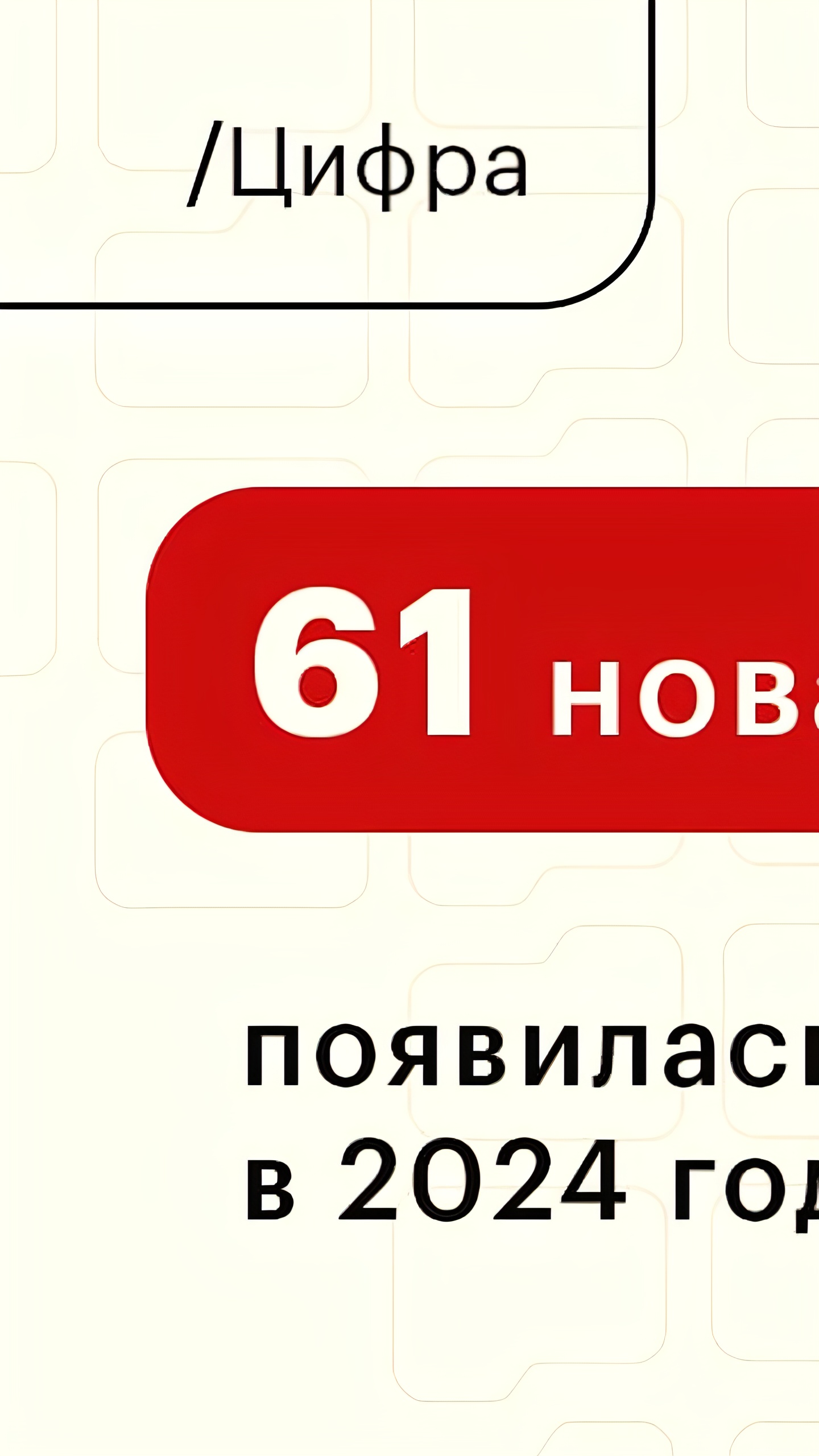 В 2024 году на российском рынке появились 61 новый бренд, включая 28 иностранных