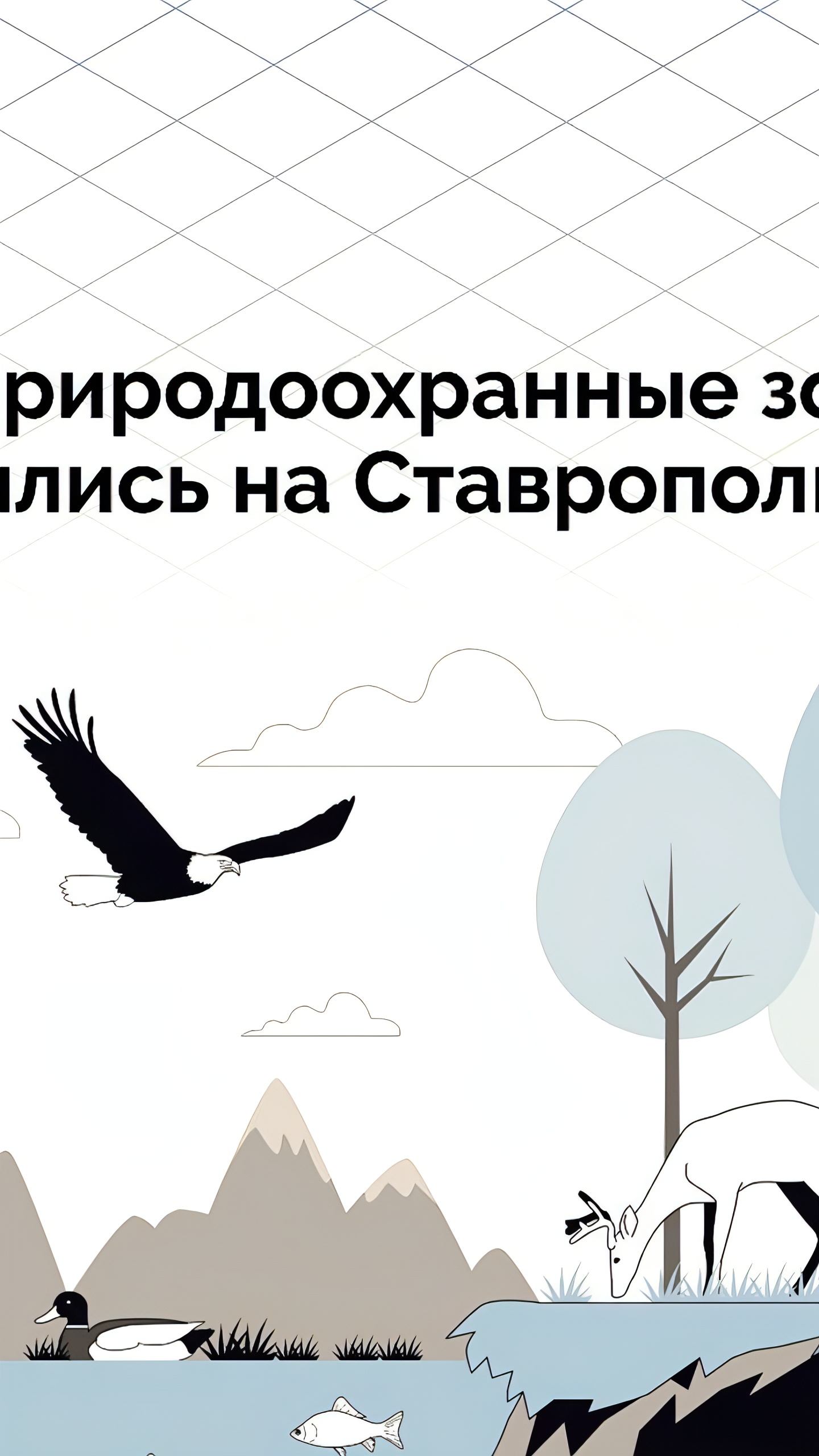 Создание охранных зон для Рощи сосны крымской и Баталинской пещеры в Ставрополье