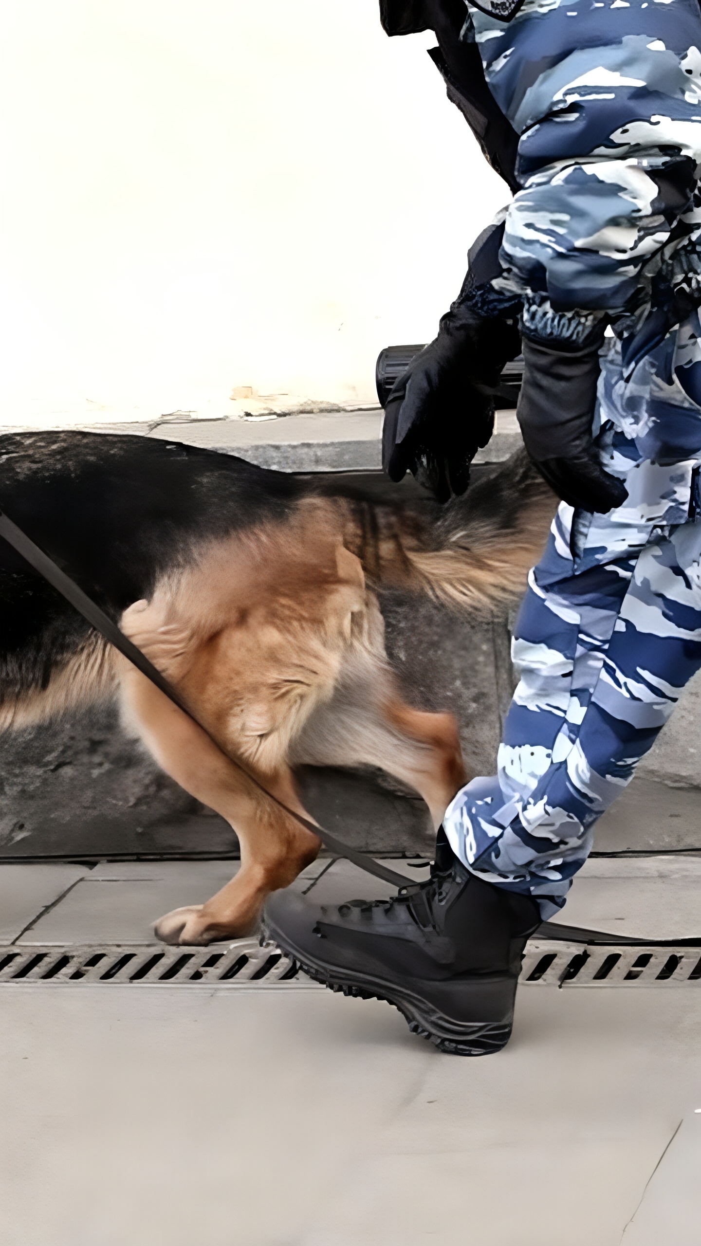 В Шахунье 14-летняя девочка стала фигуранткой уголовного дела за ложное сообщение о терроризме