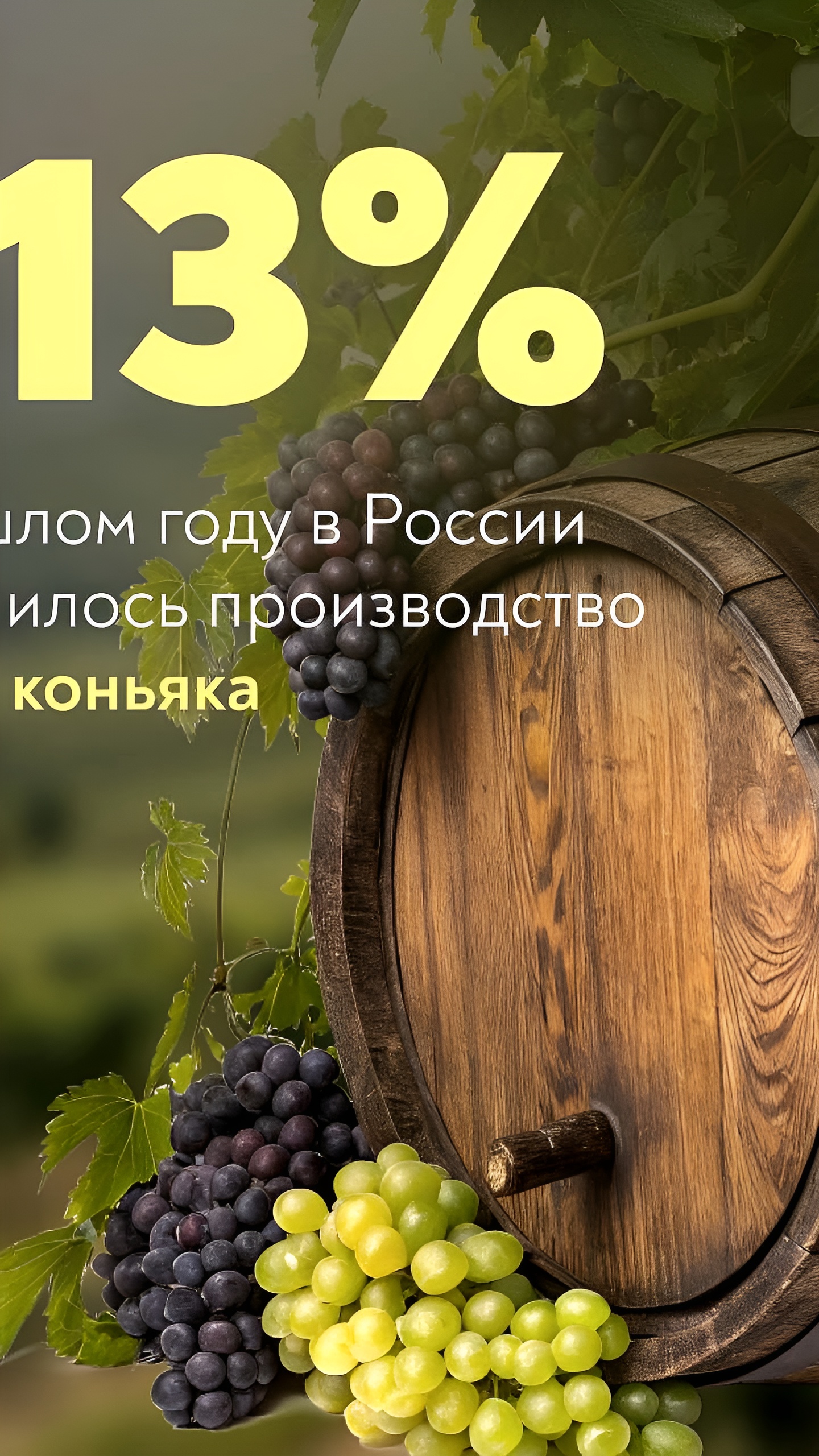 Производство вина и коньяка в России достигло 60 млн дал с ростом продаж отечественной продукции