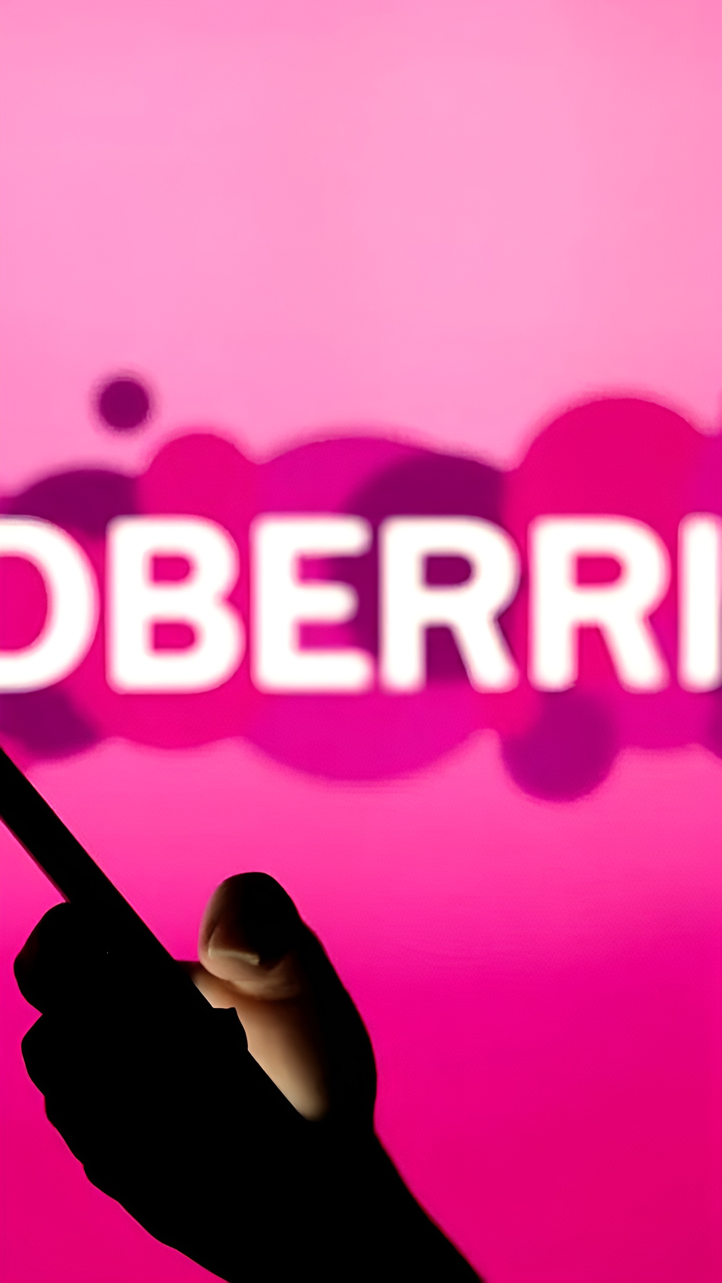 Wildberries и Russ запускают образовательную платформу для предпринимателей и IT-специалистов