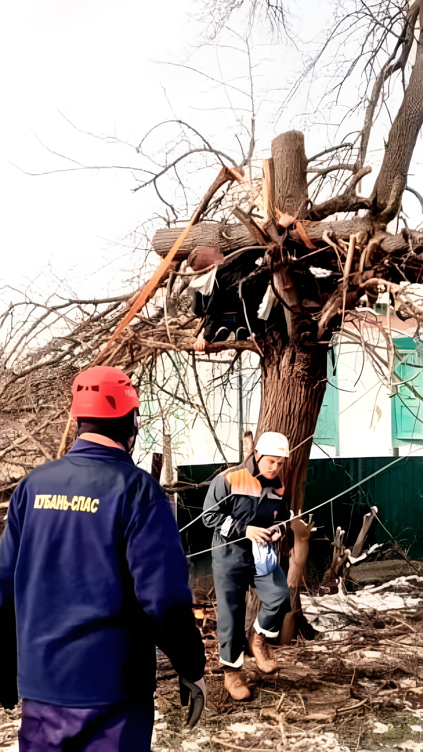 Спасатели освободили молодого человека, придавленного спиленным деревом в Мостовском районе