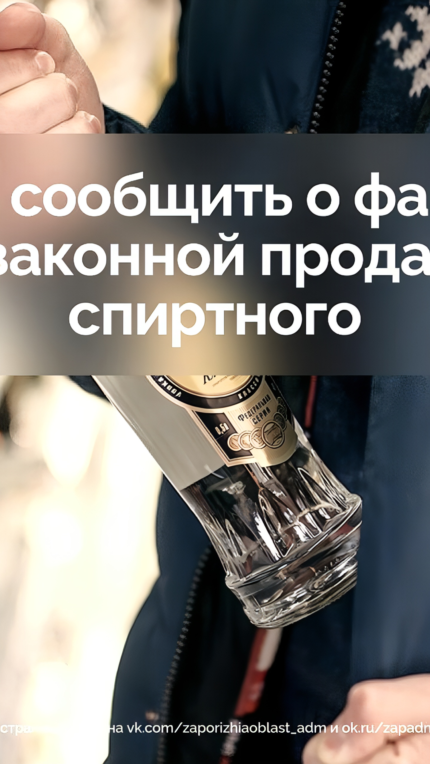 Запорожская область запускает чат-бот для борьбы с незаконной продажей алкоголя