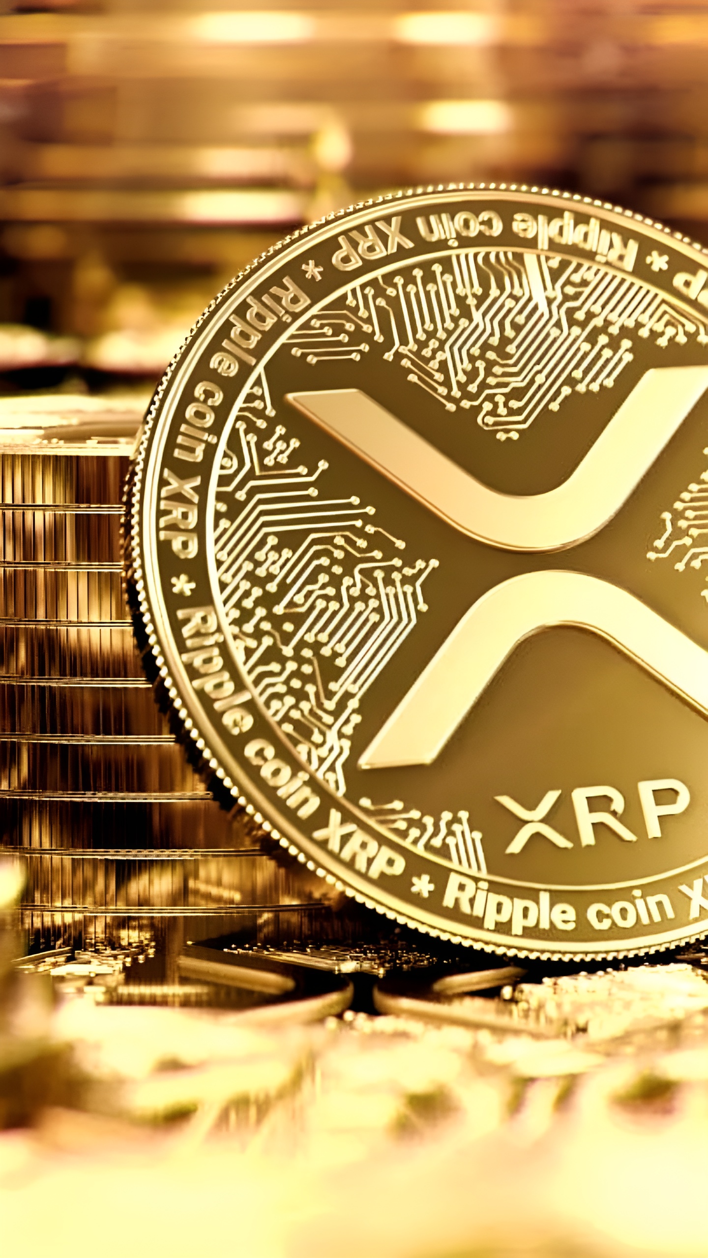 Cboe BZX подает заявки на XRP и Solana ETF, SEC принимает их к рассмотрению