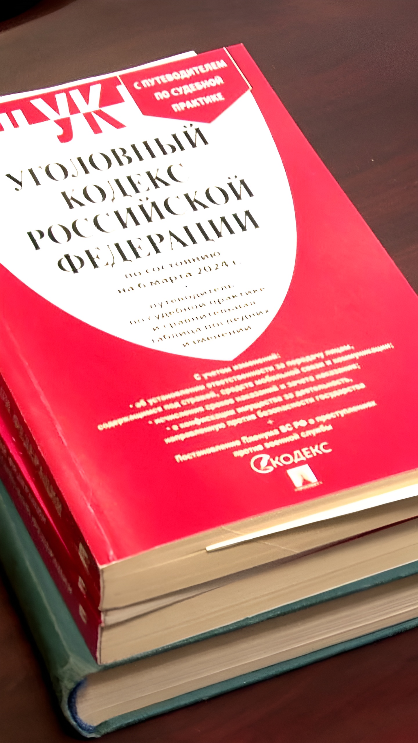 Расследование новых преступлений: задержание подозреваемого в истязании несовершеннолетней и установление связи с делом серийного убийцы