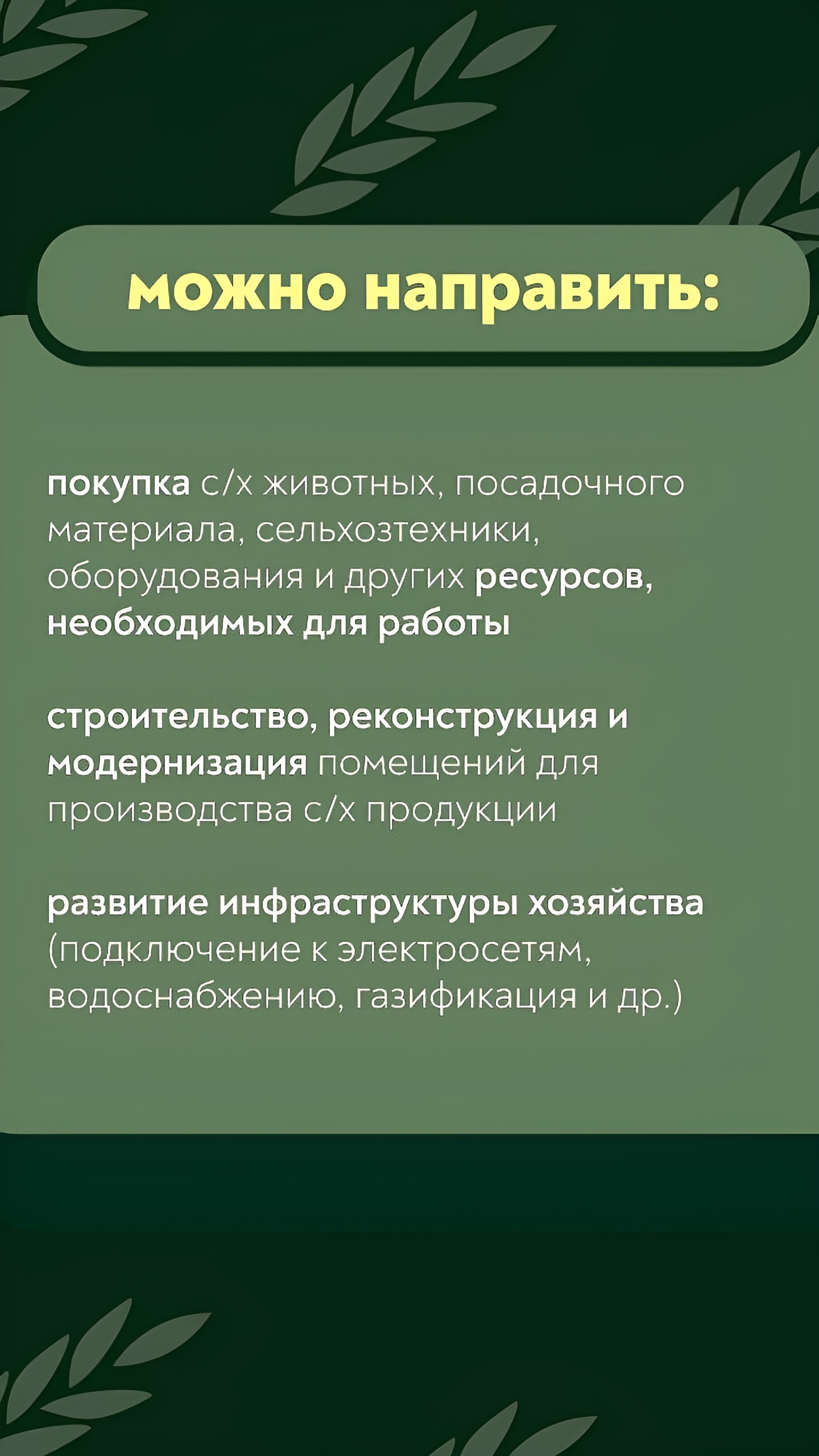 Участники СВО смогут получить гранты до 7 млн рублей для агробизнеса с 2025 года