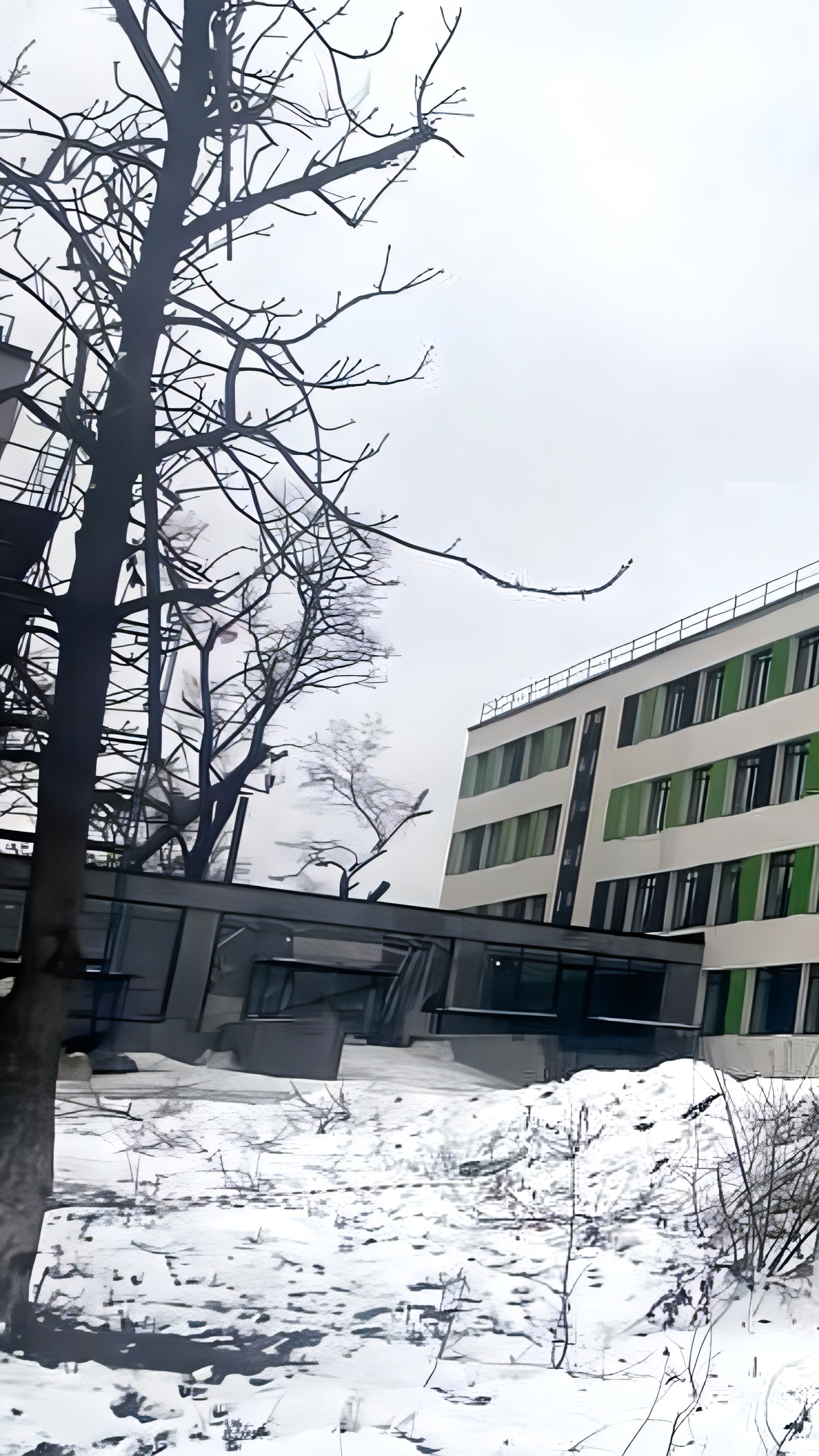 Завершены фасадные работы в Мариупольском техникуме транспорта и промышленных технологий