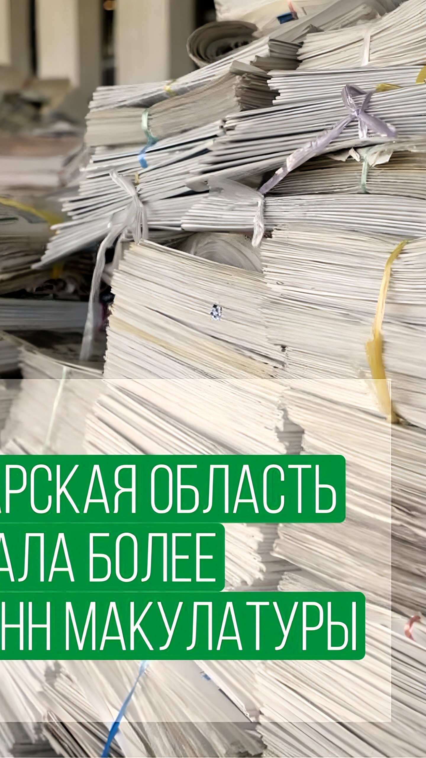 Тюменцы и жители Электрогорска участвуют в переработке новогодних елок