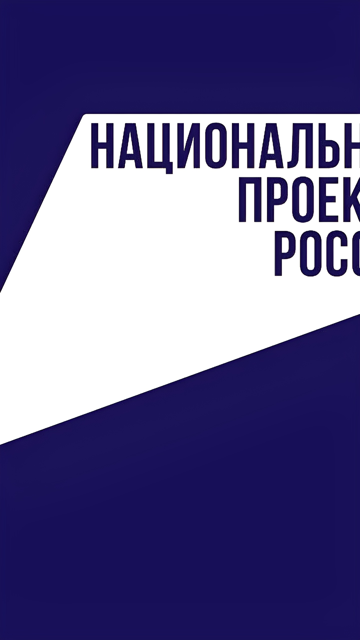 Поддержка малого и среднего предпринимательства в России: итоги и новые инициативы