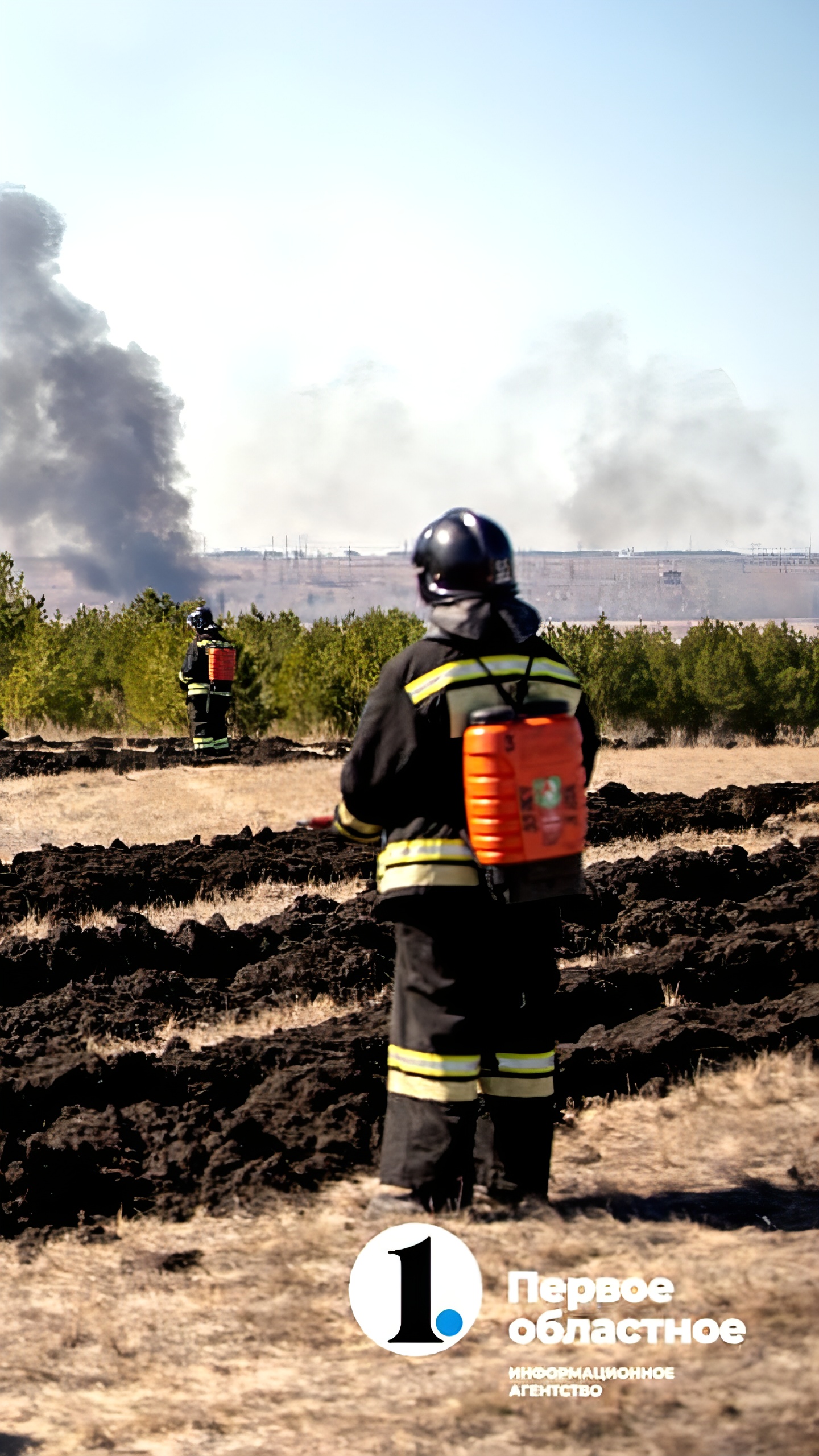 Подготовка к пожароопасному сезону в Воронежской области: установка аншлагов и расчистка лесных дорог