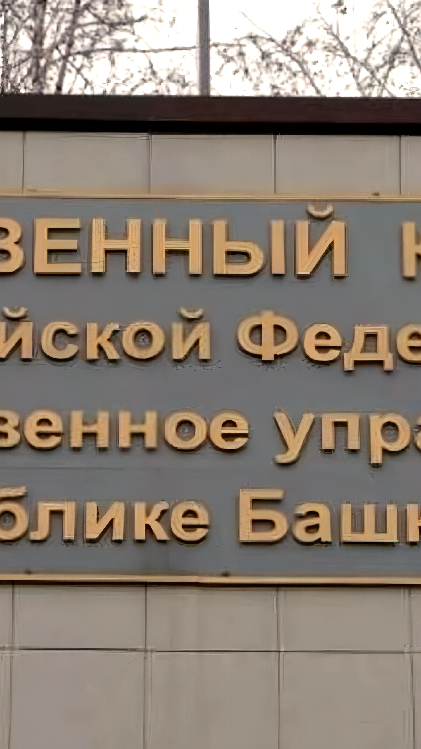 СК России требует отчет о расследовании преступления против ребенка в Ленинградской области