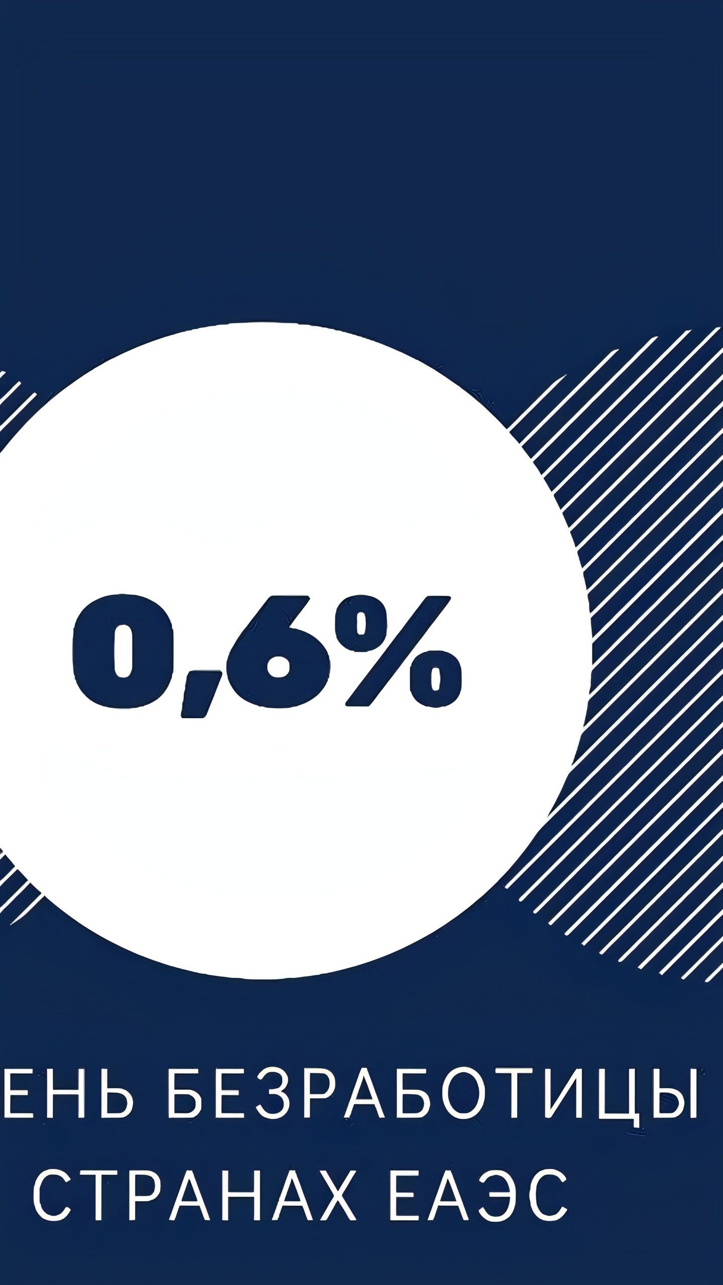 Уровень безработицы в ЕАЭС снизился на 19,4% в 2024 году
