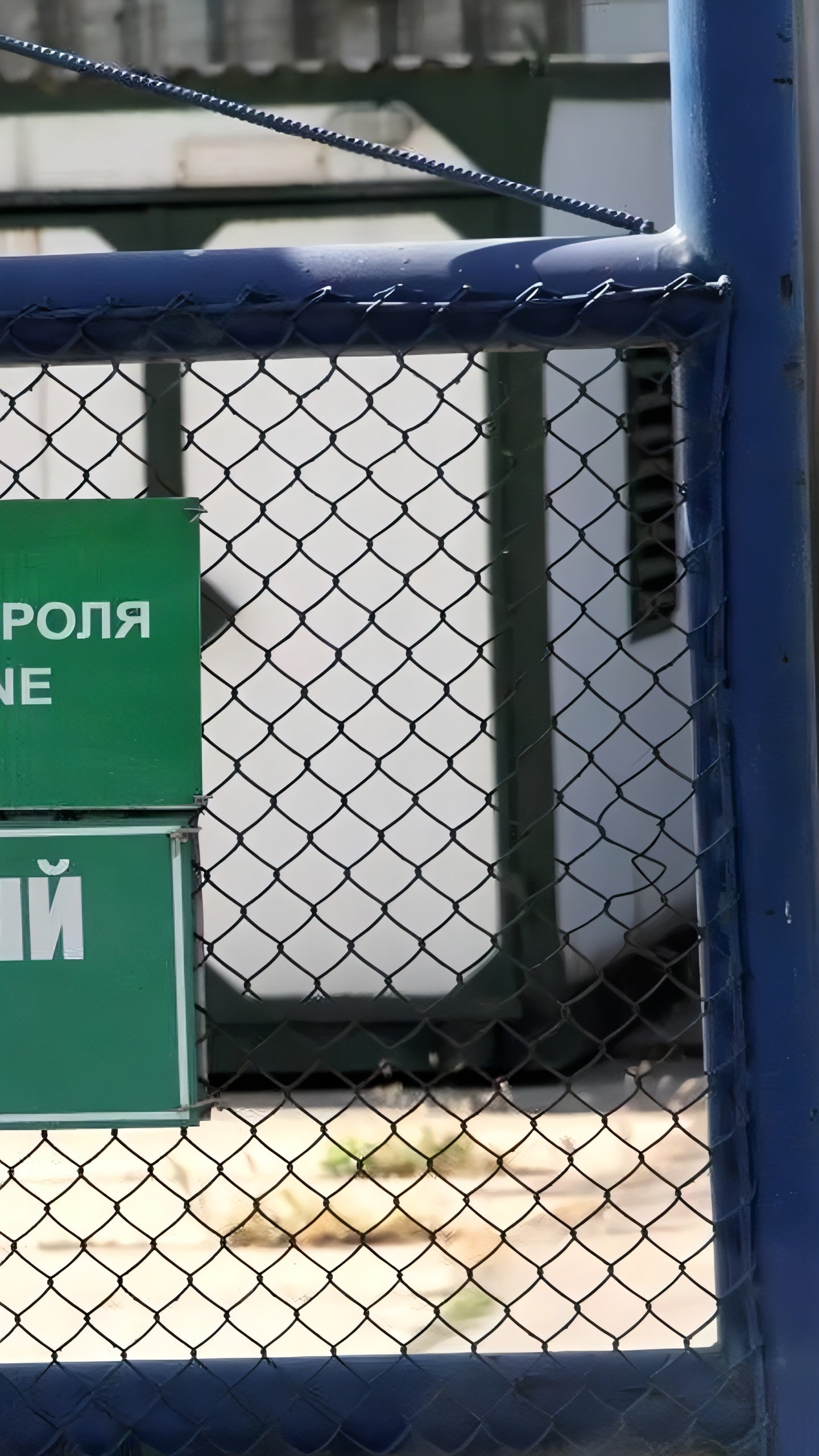 В Краснодарском крае пресечена контрабанда дубовых лесоматериалов на 20 млн рублей