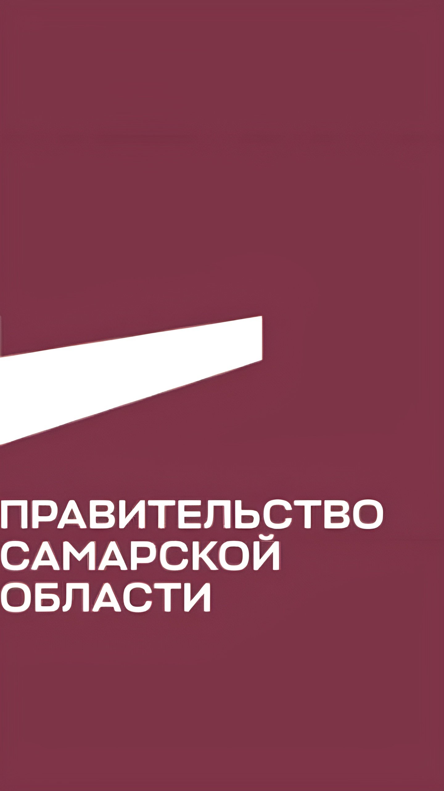 Мужчина бросил гранату у здания правительства Самарской области