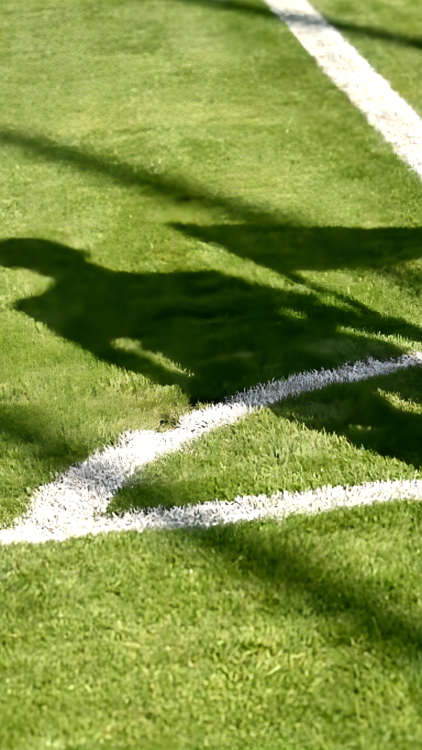 IFAB вводит новое 'правило 8 секунд' для вратарей с сезона 2025/26