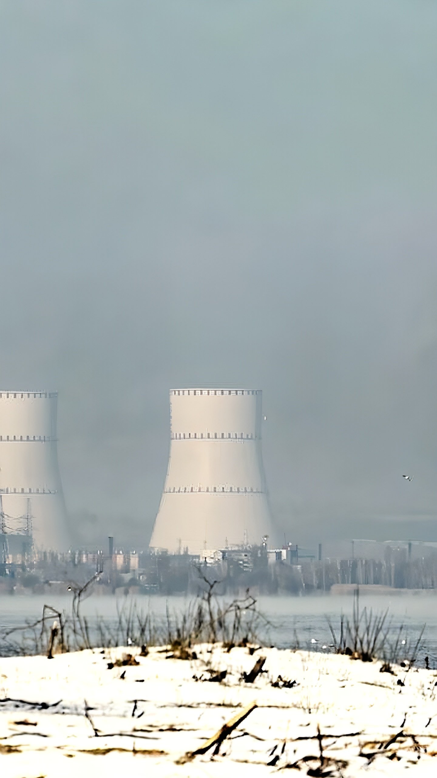 Курская АЭС получила лицензию на размещение нового энергоблока, в Приморье ищут площадку для АЭС