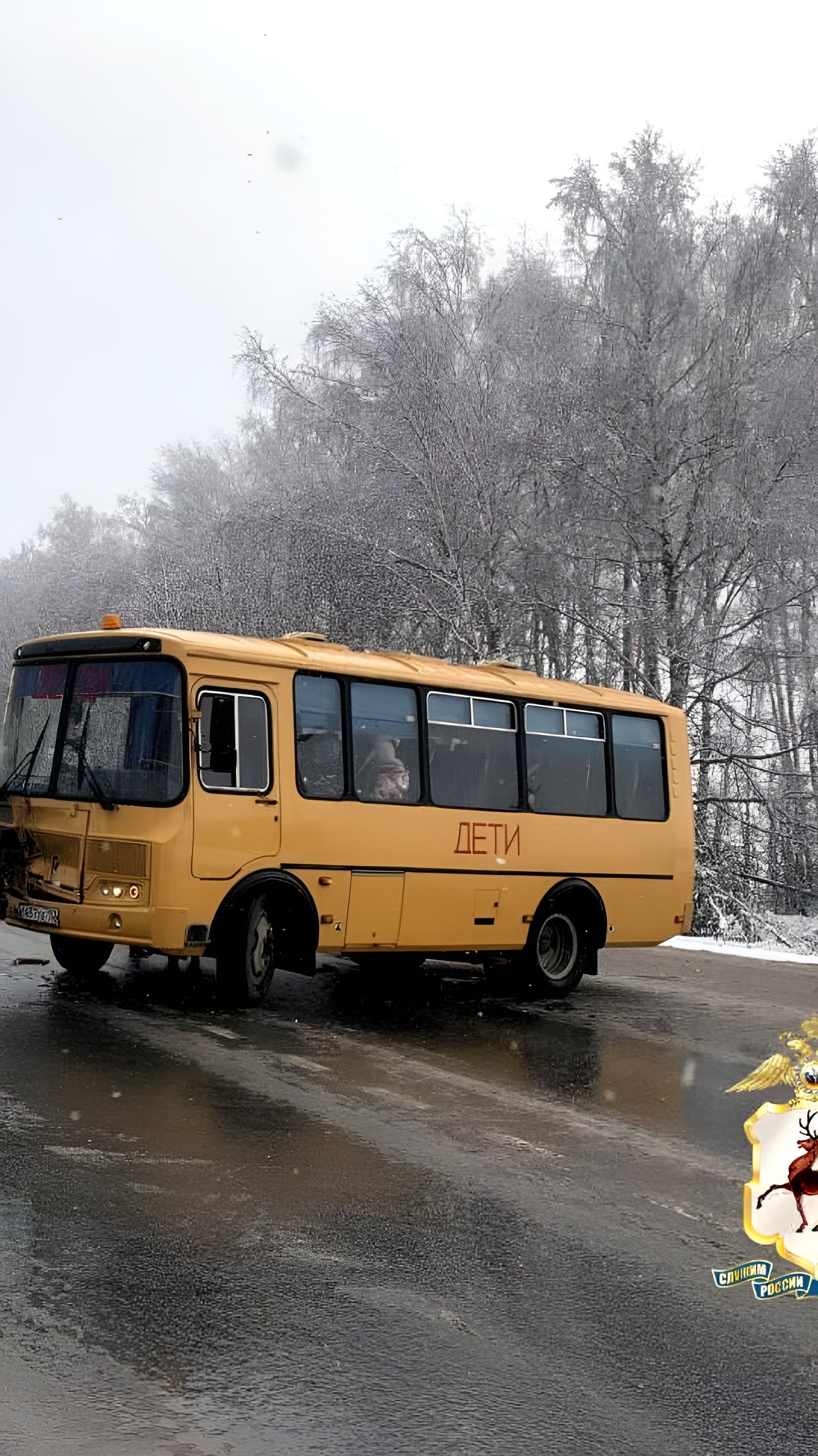 Авария с школьным автобусом в Богородском округе: 15 детей в безопасности