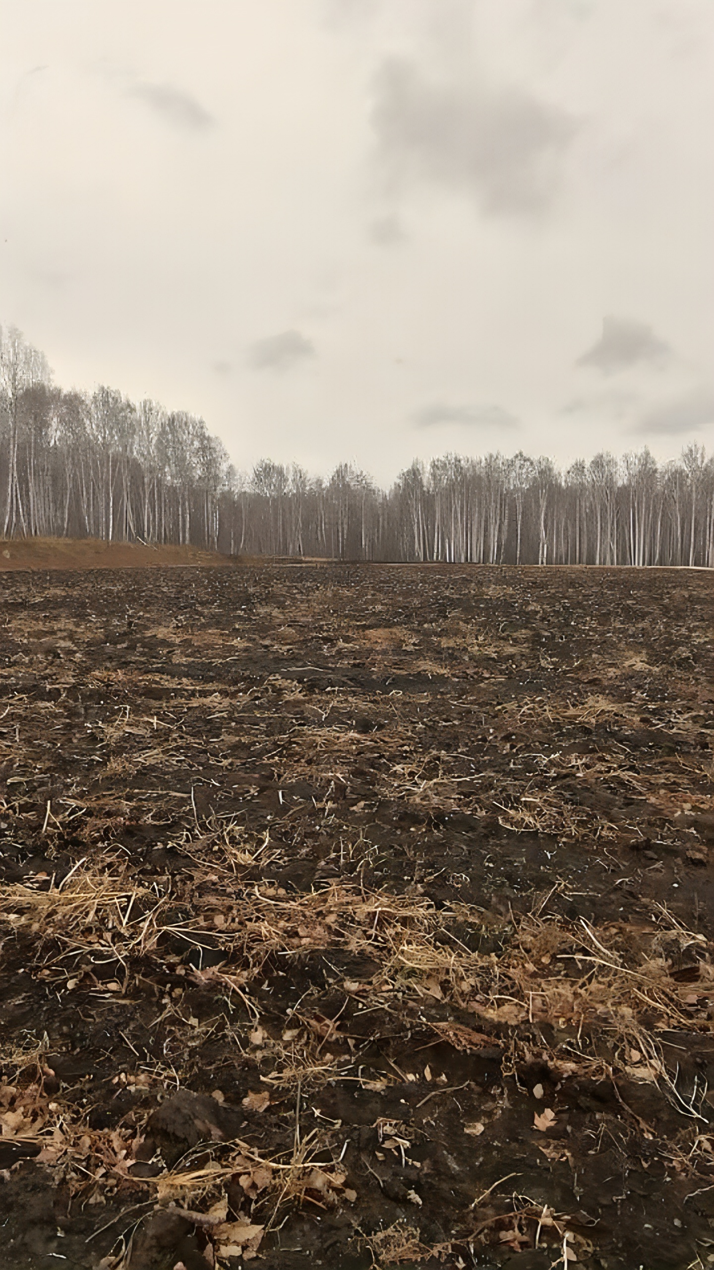 В Саянском районе возбуждено уголовное дело против руководителя муниципального учреждения за срыв контрактов