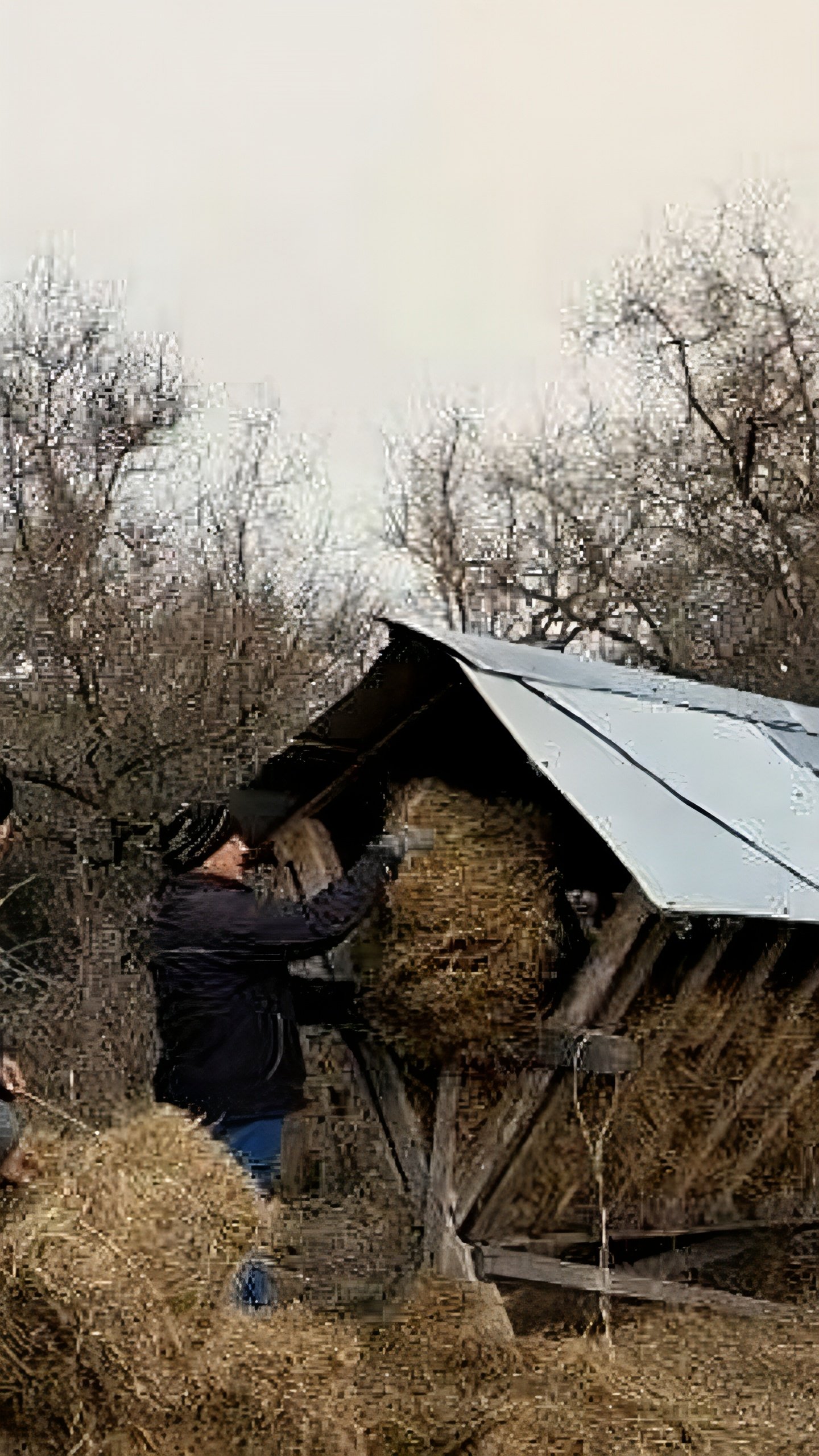 В Азово-Сивашском парке и Голопристанском лесоохотничьем хозяйстве началась подкормка диких животных