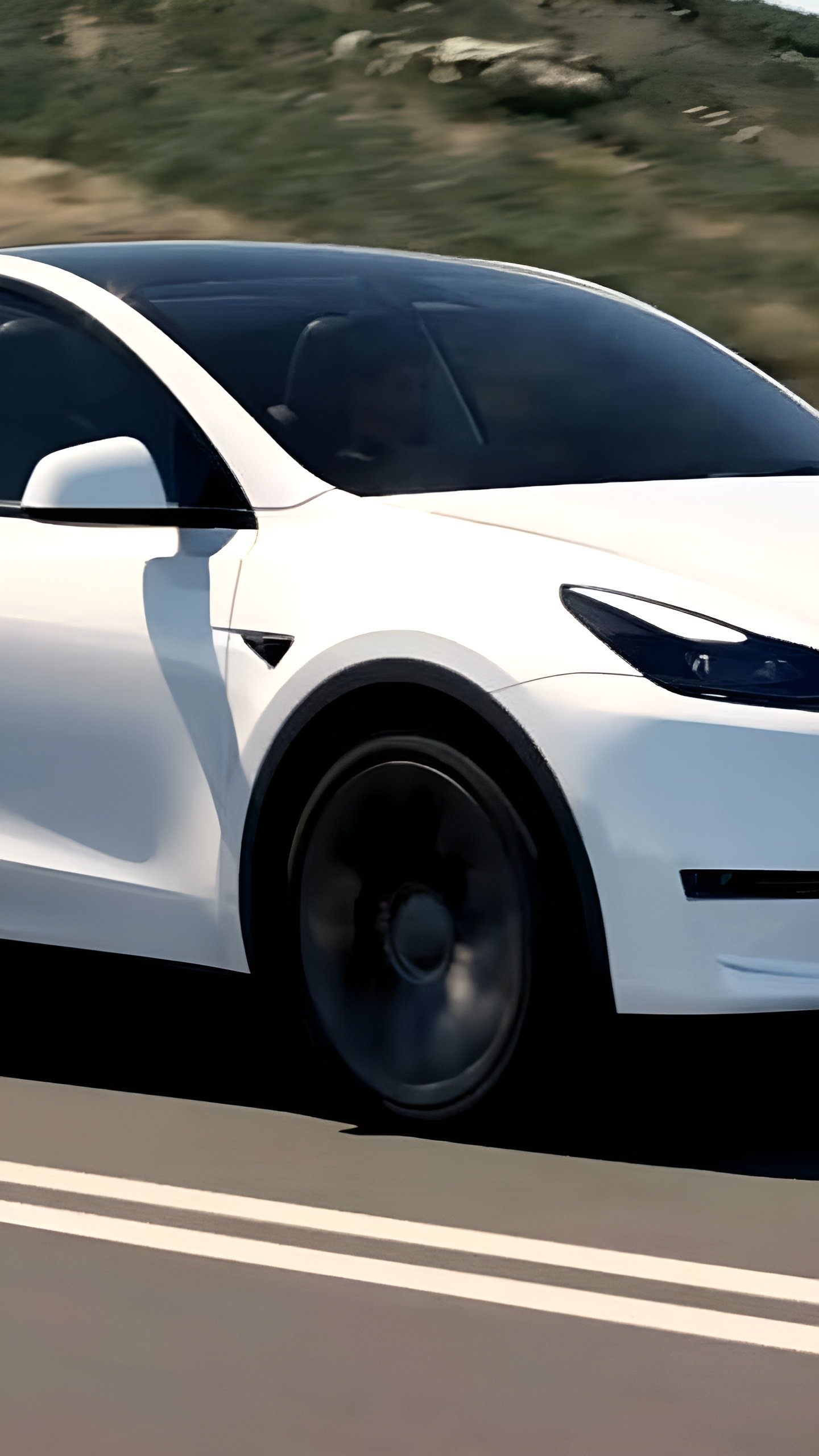 Tesla Model Y возглавила мировой рынок автомобилей в 2024 году