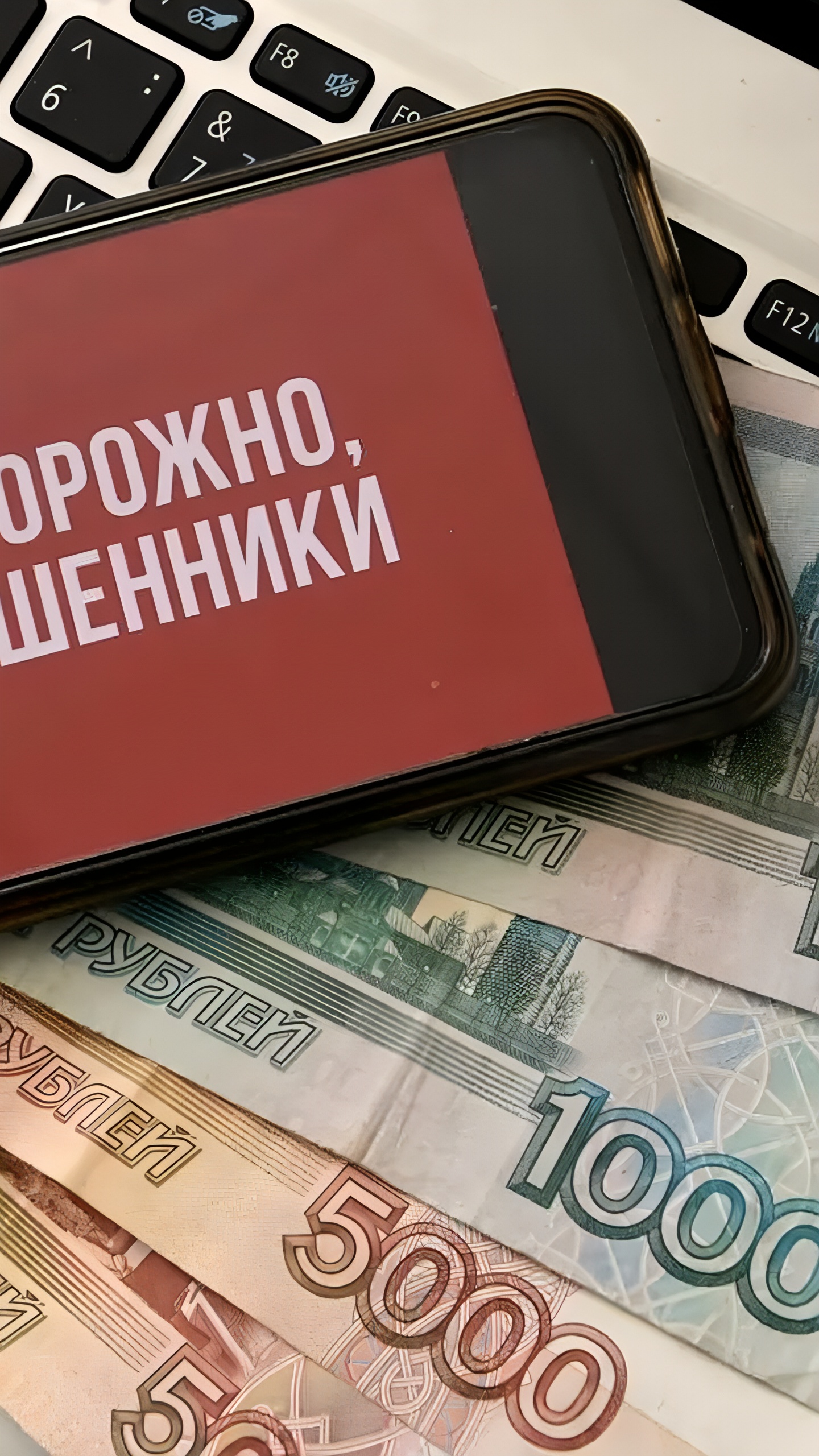 Опрос выявил основные схемы телефонного мошенничества в СЗФО