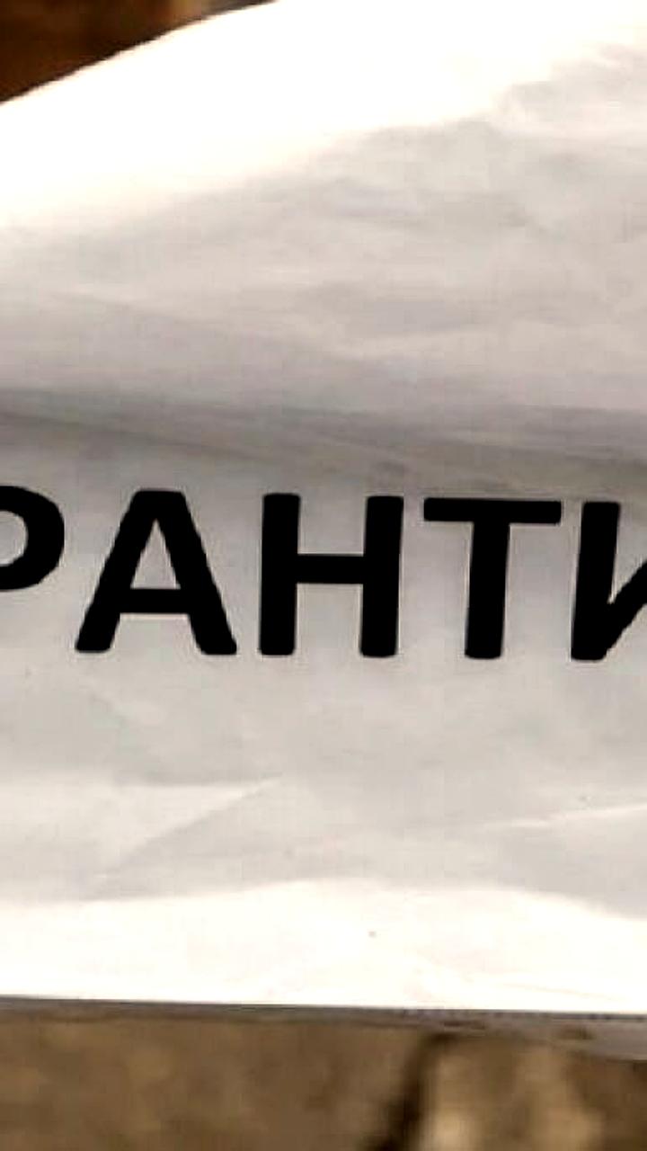 Карантин по бешенству животных введен в Подмосковье