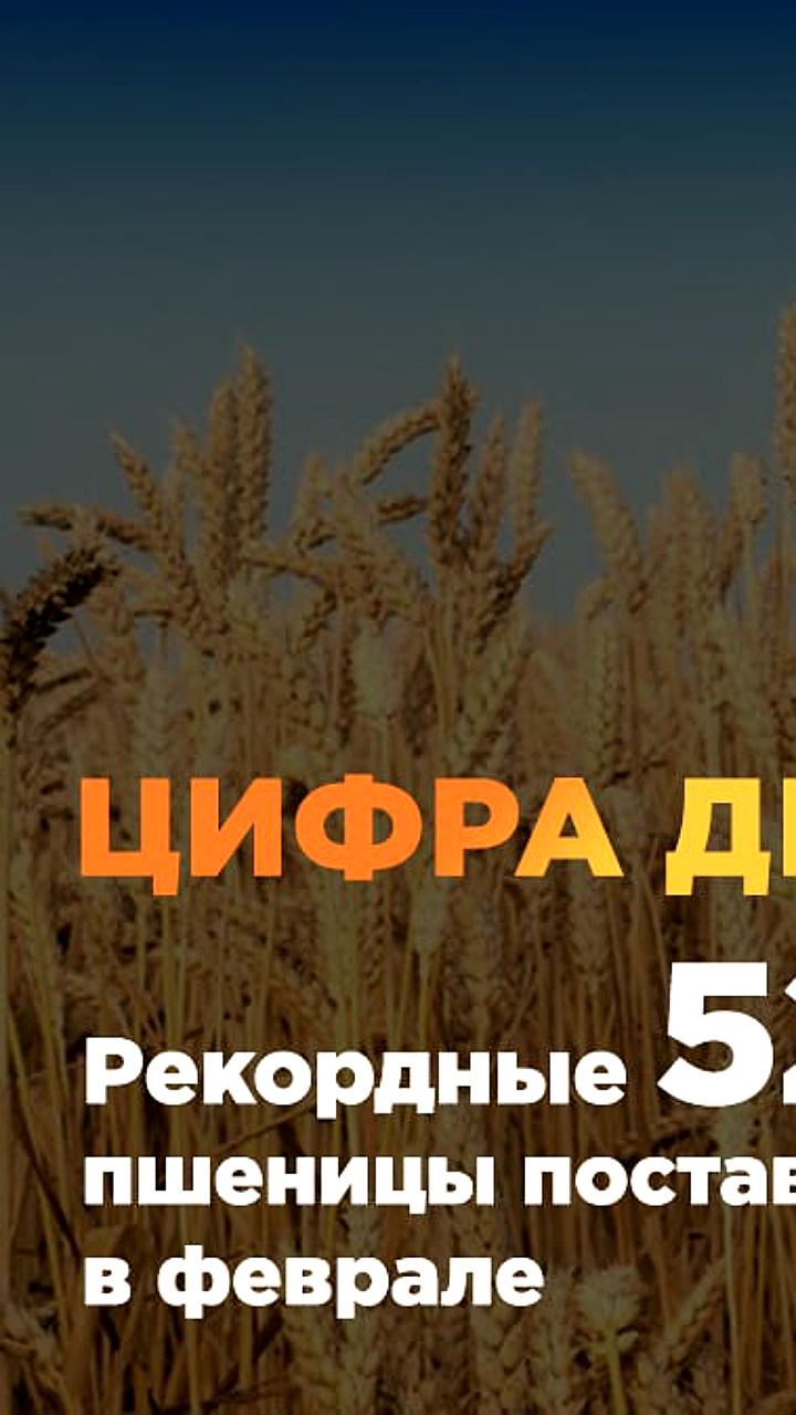 Торговые отношения России с Азербайджаном и Грузией: январь-февраль 2025