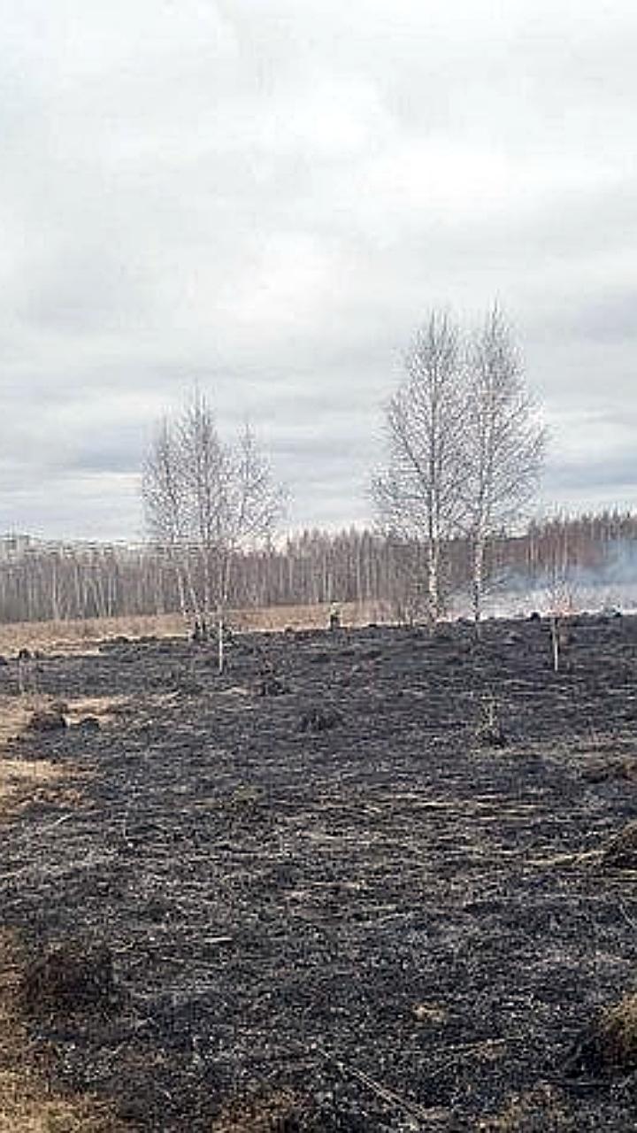 Пожарные выезды на ликвидацию палов травы в Орле и Смоленске