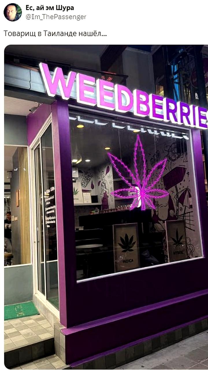 В Таиланде открылся магазин Weedberries, аналог Wildberries для запрещенных товаров