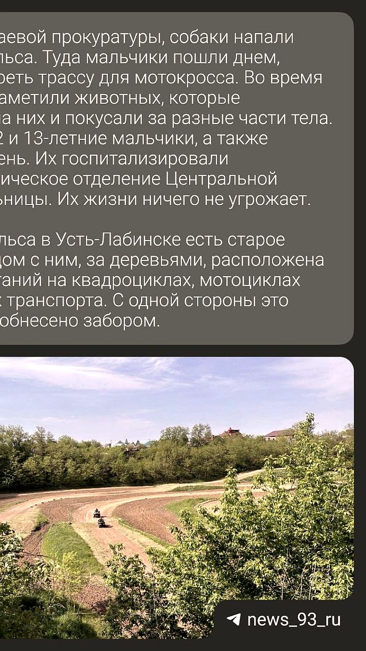 Уголовные дела по фактам нападений на детей и полицейских в России