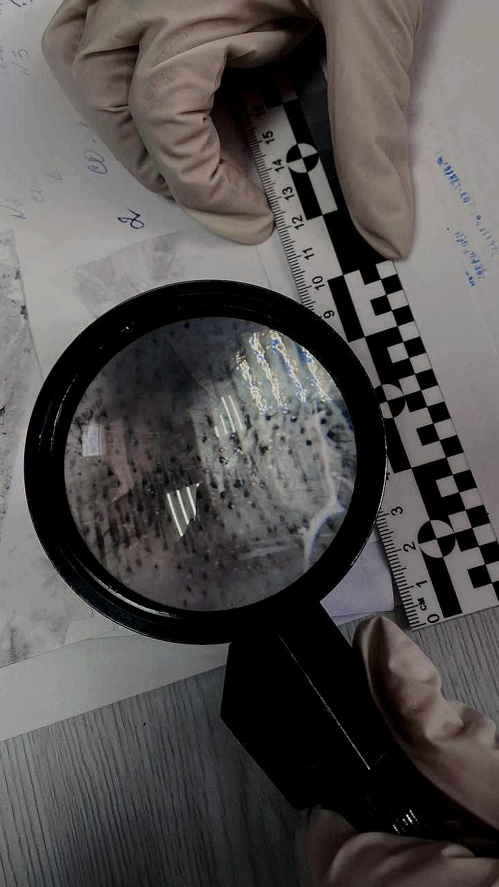 Автоугонщик из Новороссийска задержан после погони и попытки скрыться
