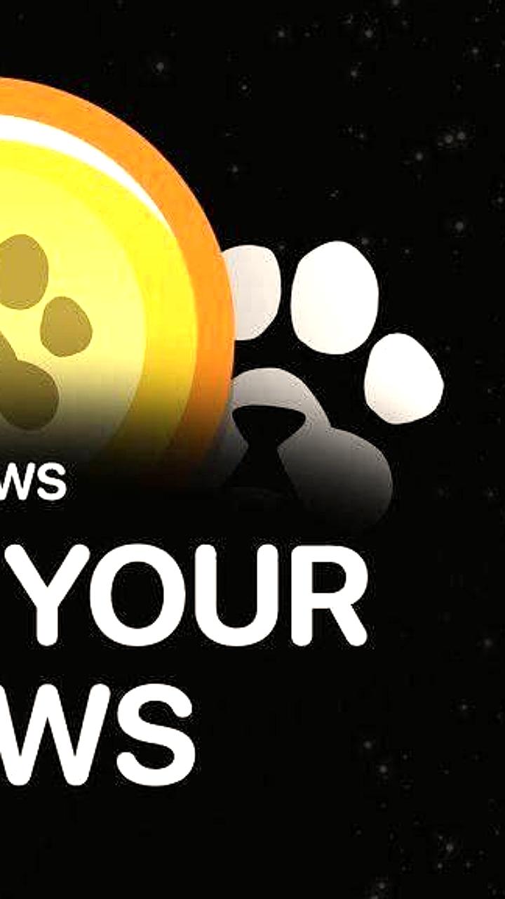 Листинг токена PAWS на Bybit запланирован на 16 апреля