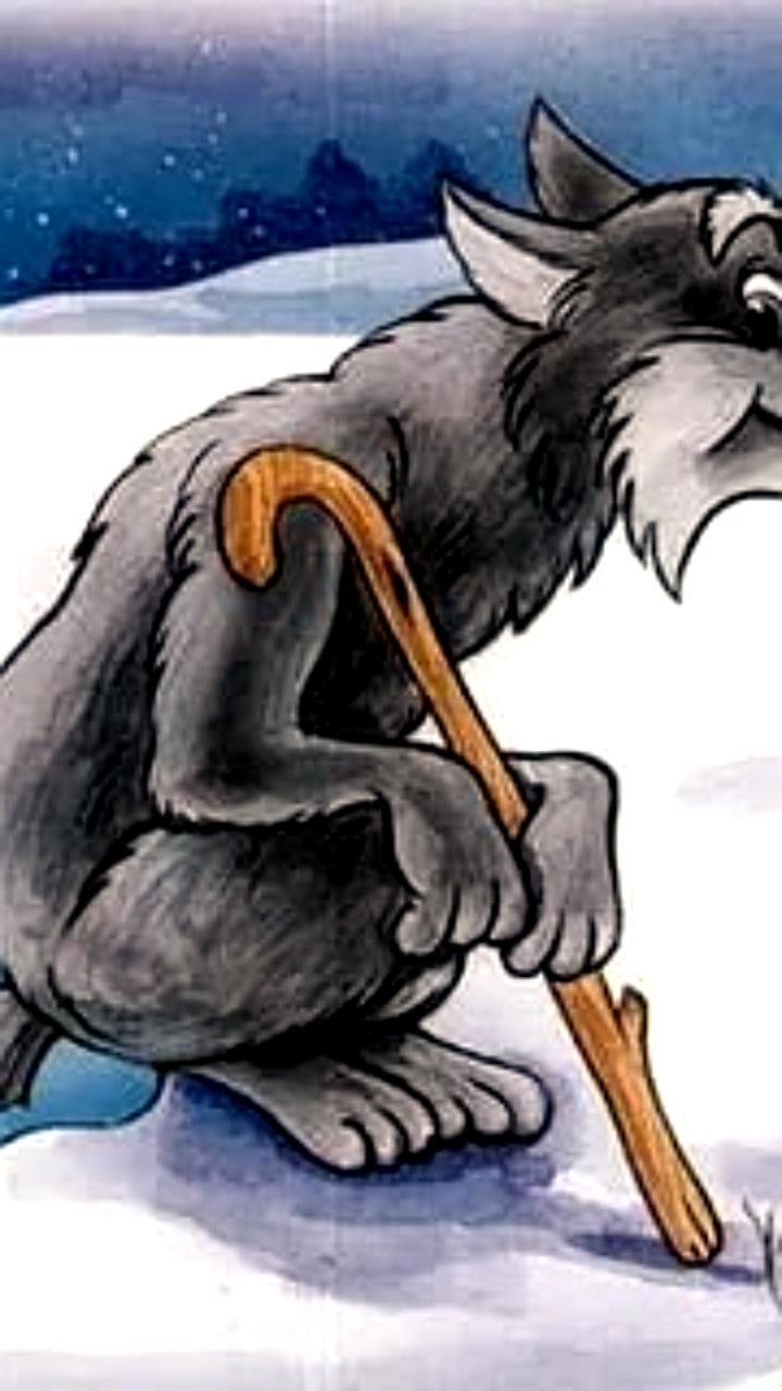 В России осуждены почти две тысячи любителей незаконной рыбалки за 2024 год