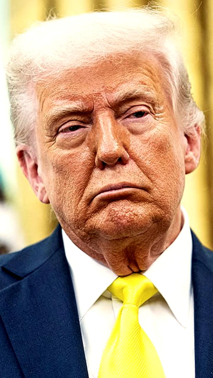 План Трампа по урегулированию конфликта на Украине станет частью учебников истории России