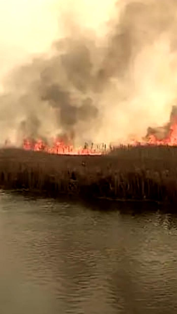 Пожар в Бебжанском национальном парке Польши охватил 450 гектаров