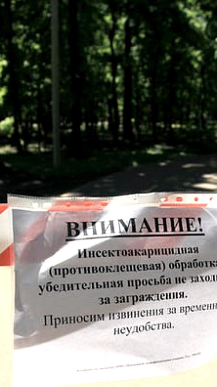 Олимпийская аллея в Пензе закрыта на акарицидную обработку с 22 по 24 апреля