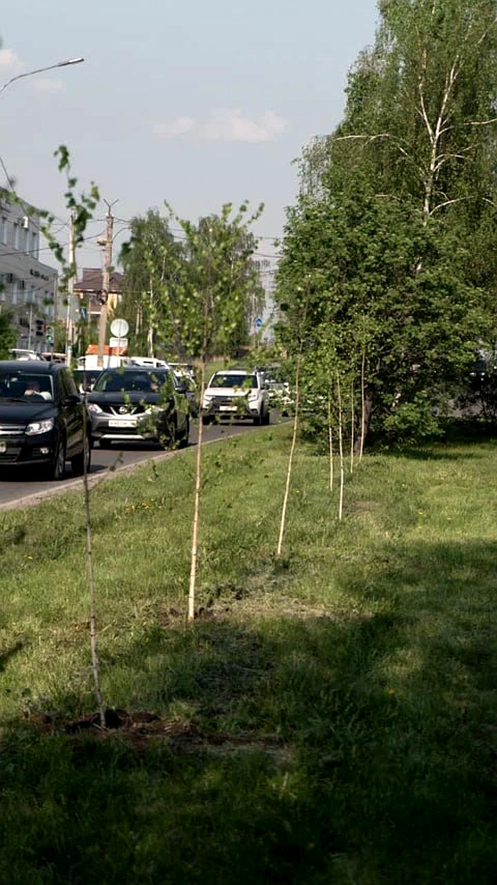 В Горностаевском округе высадили более 300 дубов в рамках экологической инициативы