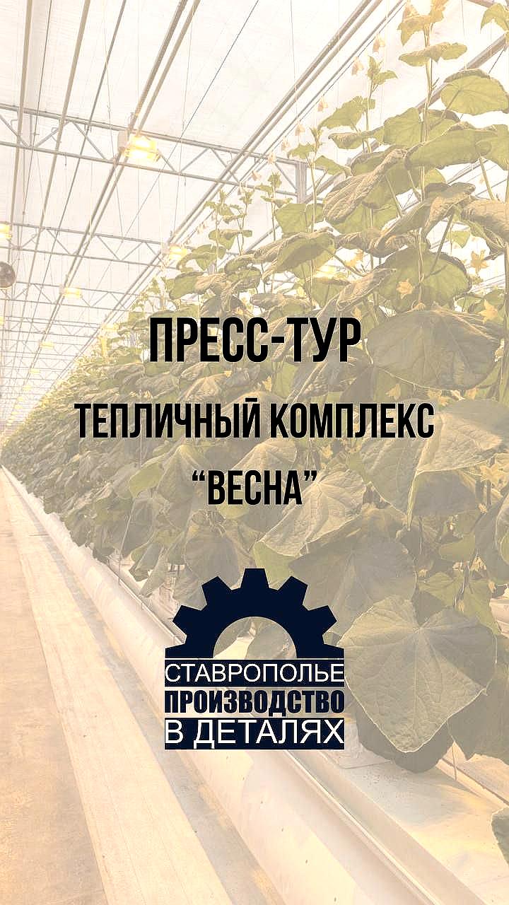 Журналисты исследуют агрокомплекс «Весна» и его производство корнишонов