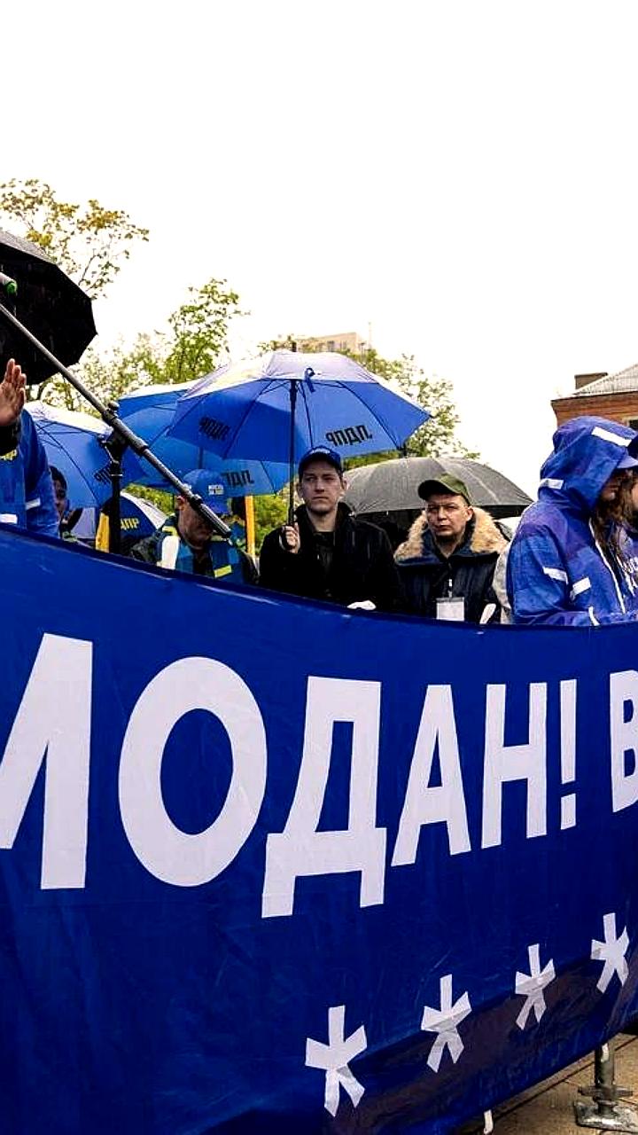 ЛДПР изменяет позиционирование и готовит мероприятие на рынке «Садовод»