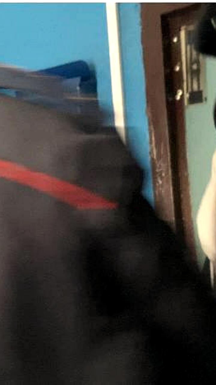 Задержание Павла Крисевича по подозрению в нападении на таксиста