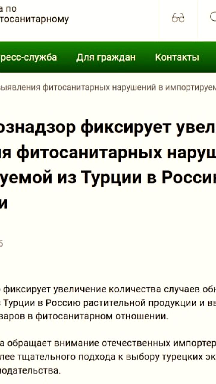 Увеличение фитосанитарных нарушений в импорте из Турции: Россельхознадзор информирует