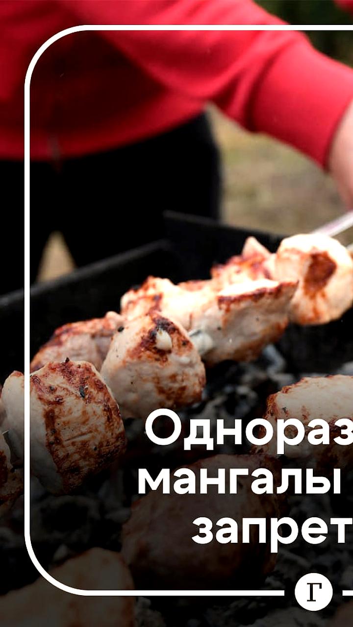 Депутат Милонов предлагает запретить одноразовые мангалы для защиты экологии