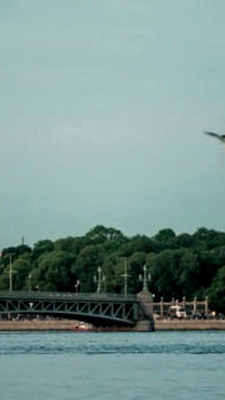 Ремонт Троицкого моста в Петербурге завершится на четыре месяца раньше срока