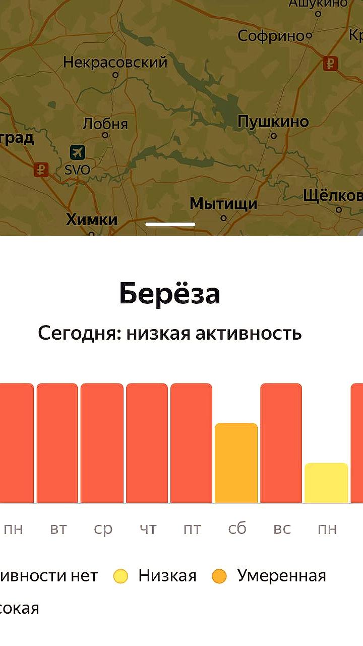 Москва готовится к высокой пыльцевой активности на следующей неделе