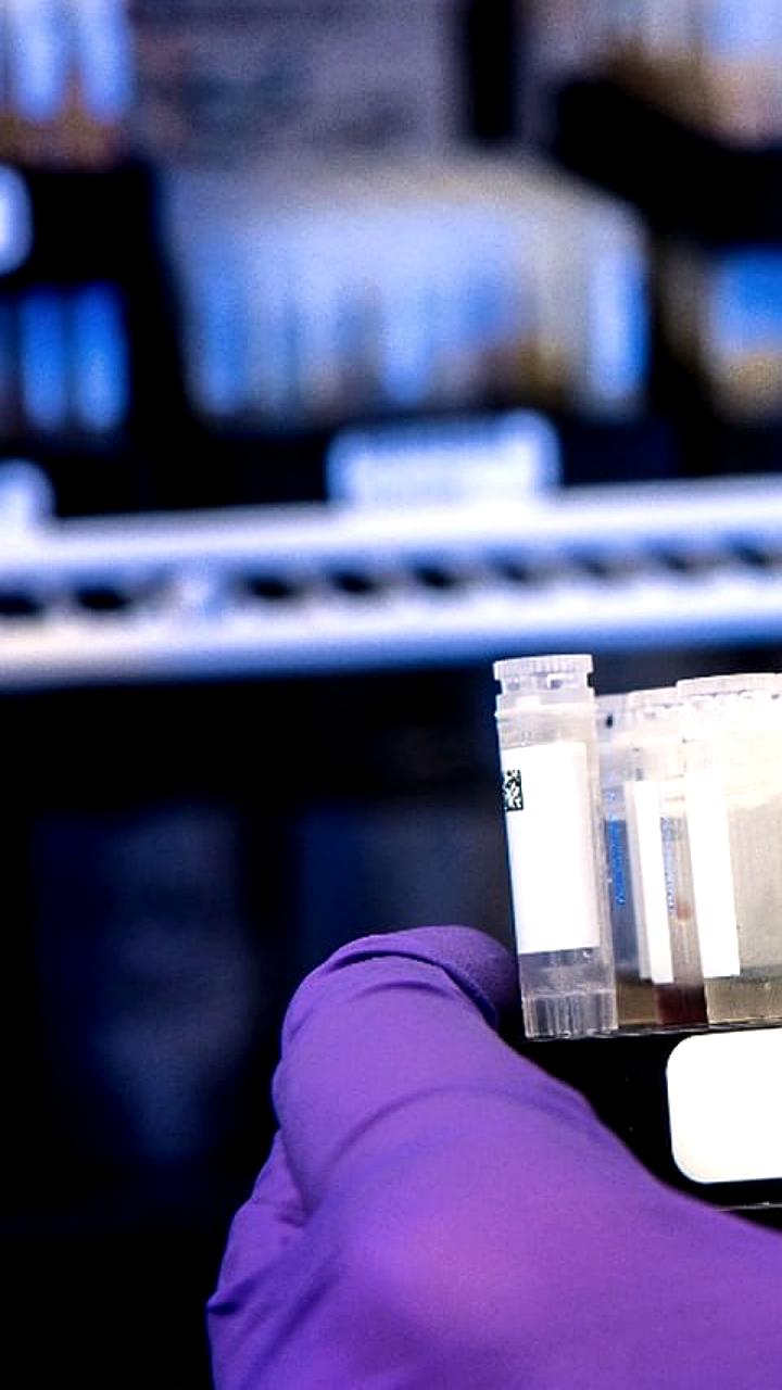 Ученые предупреждают о риске глобального распространения грибка Aspergillus